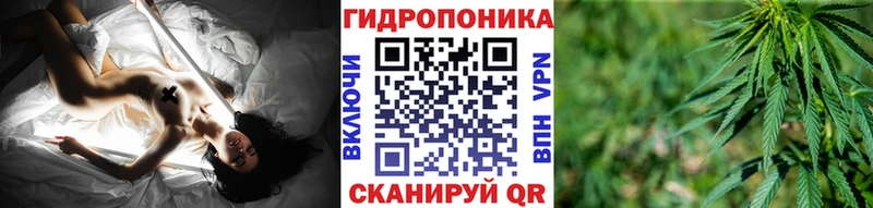 ГАШ Касли