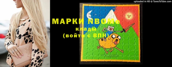 шишки Горно-Алтайск