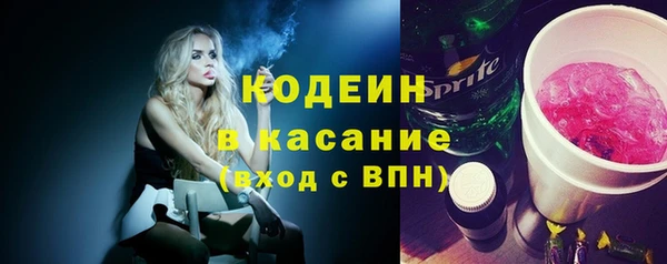 шишки Горно-Алтайск