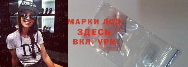 шишки Горно-Алтайск