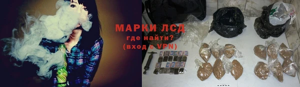 шишки Горно-Алтайск