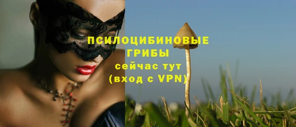 прущая мука Горняк