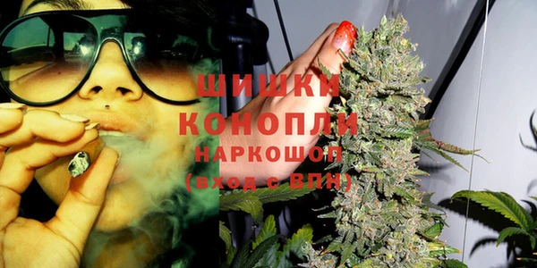 шишки Горно-Алтайск