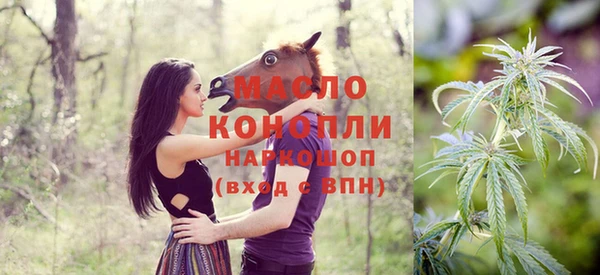 шишки Горно-Алтайск
