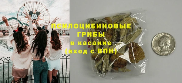 гашик Горнозаводск