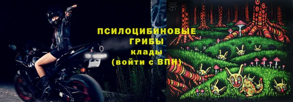 прущая мука Горняк