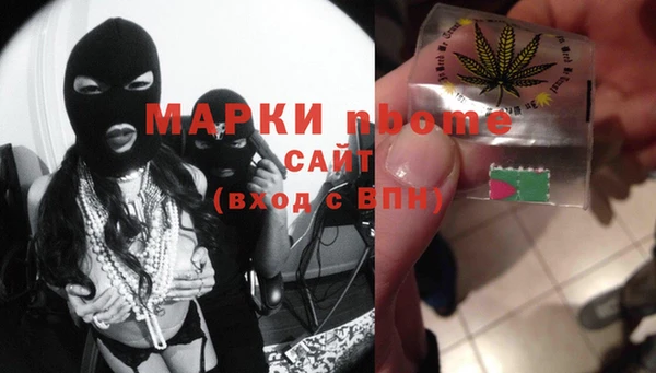 шишки Горно-Алтайск