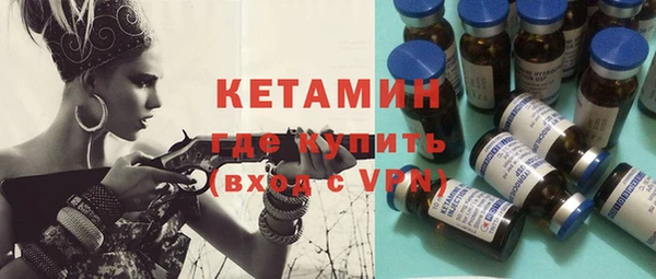 шишки Горно-Алтайск