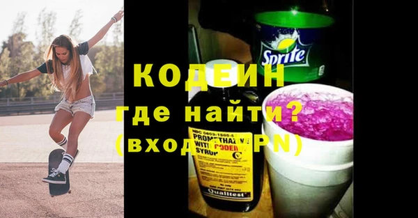 шишки Горно-Алтайск