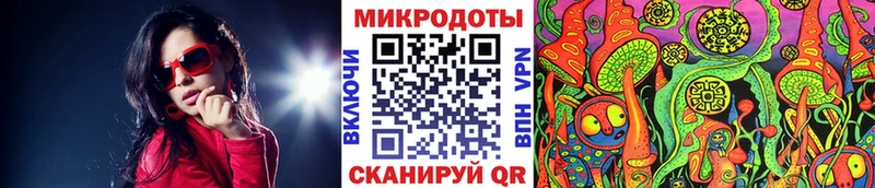 Купить закладки  Касли  Псилоцибиновые грибы Psilocybe 