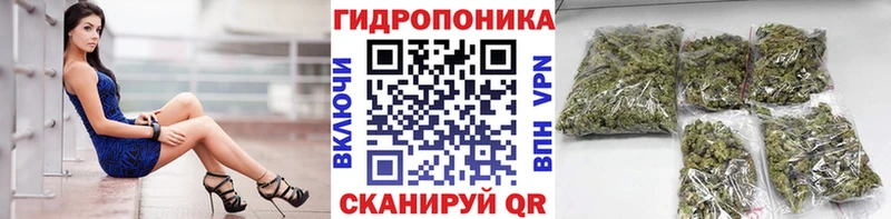 Канабис Ganja  Купить закладки  Касли 
